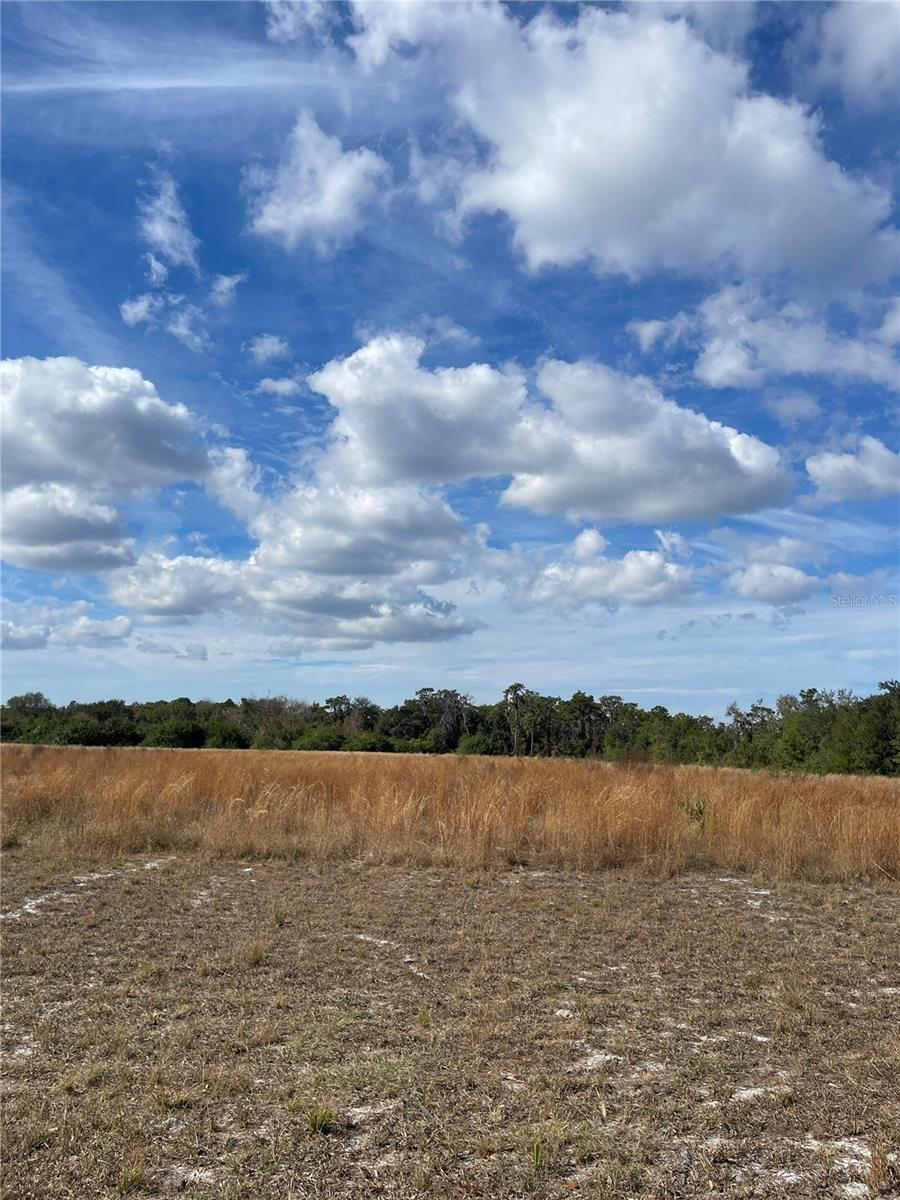 14421 SEMINOLE TRL — photo 10