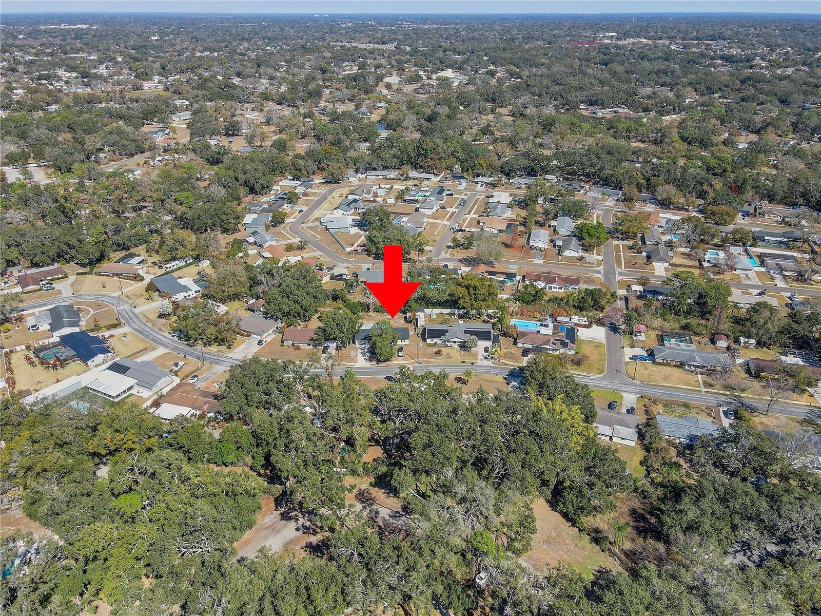 606 DALI DR — photo 49