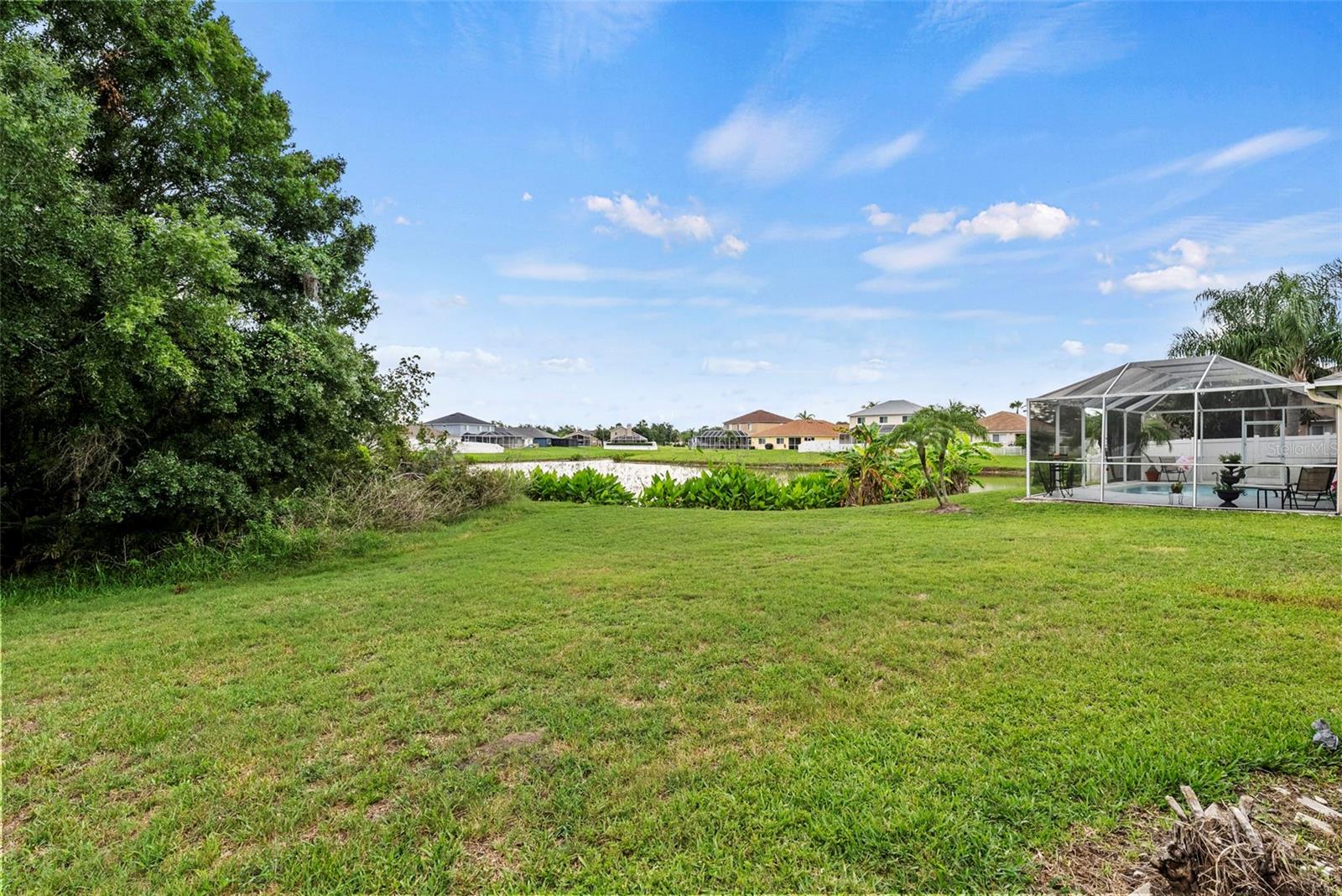 25521 BRUFORD BLVD — photo 43