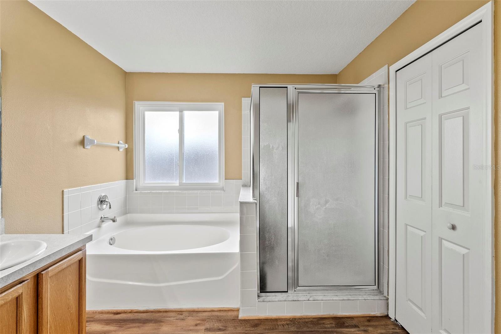 25521 BRUFORD BLVD — photo 29