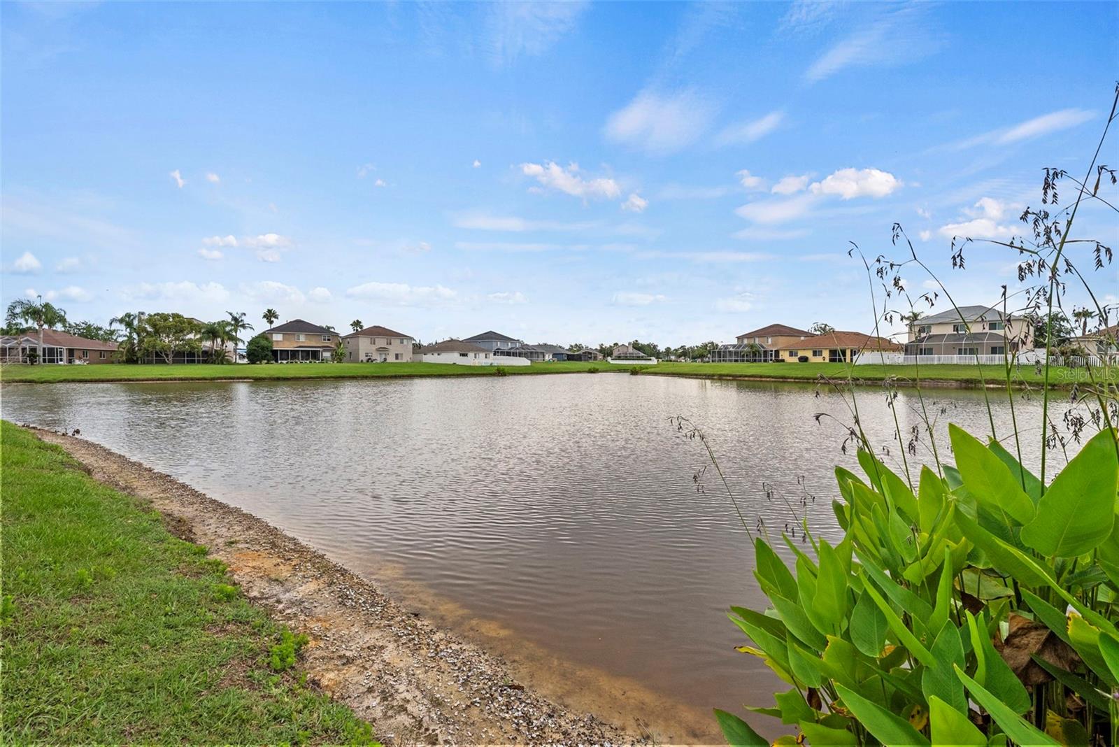 25521 BRUFORD BLVD — photo 49
