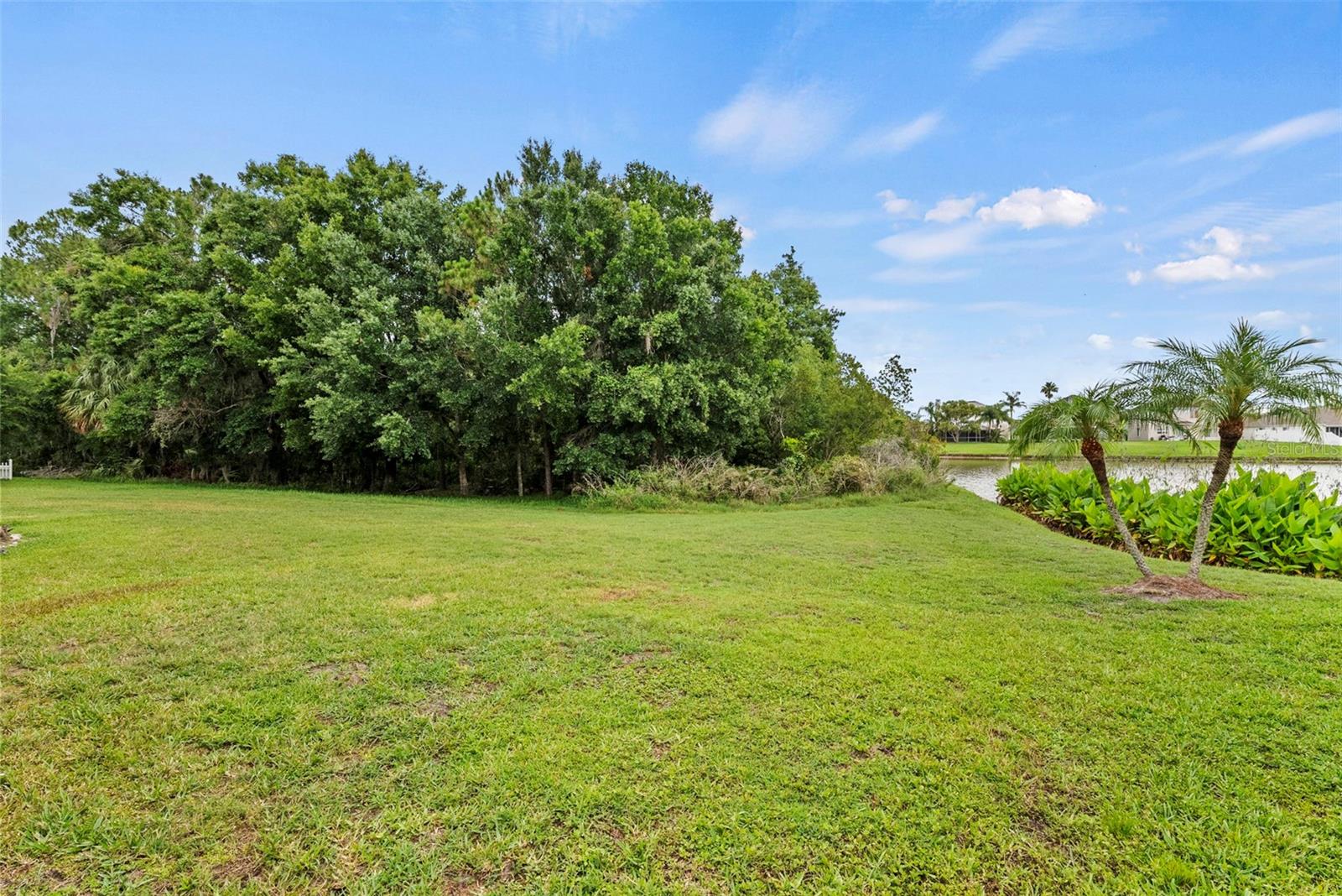 25521 BRUFORD BLVD — photo 42