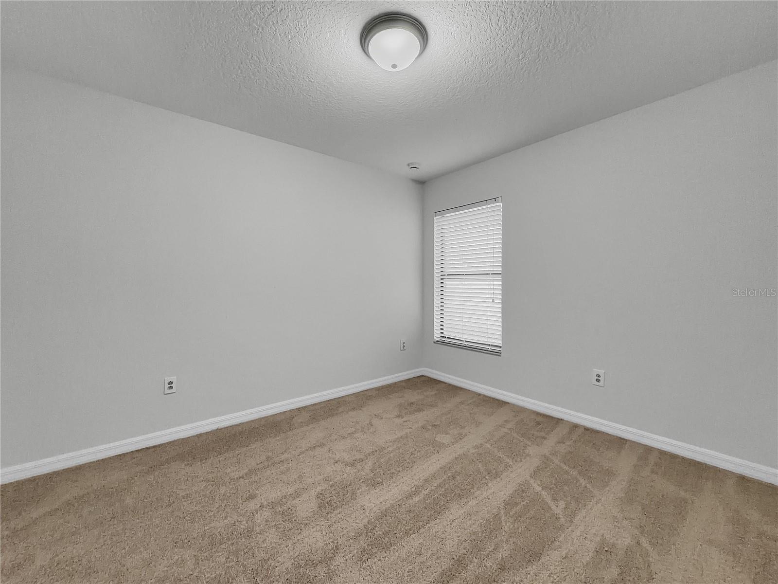 10113 ROSEMARY LEAF LN — photo 12