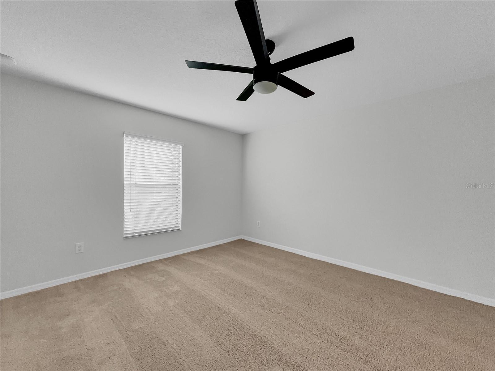 10113 ROSEMARY LEAF LN — photo 18