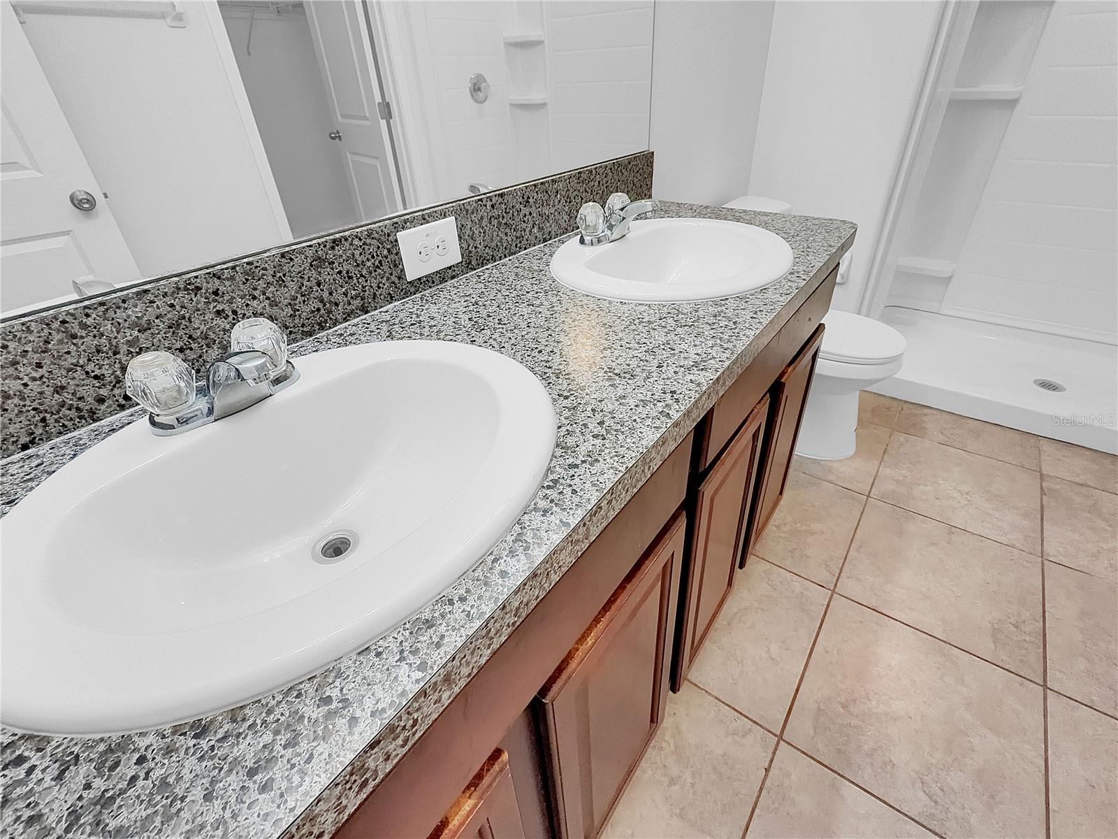 10113 ROSEMARY LEAF LN — photo 6