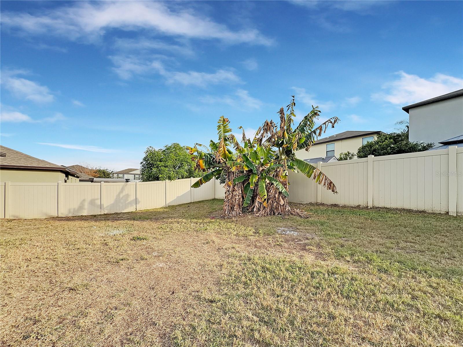 10113 ROSEMARY LEAF LN — photo 21