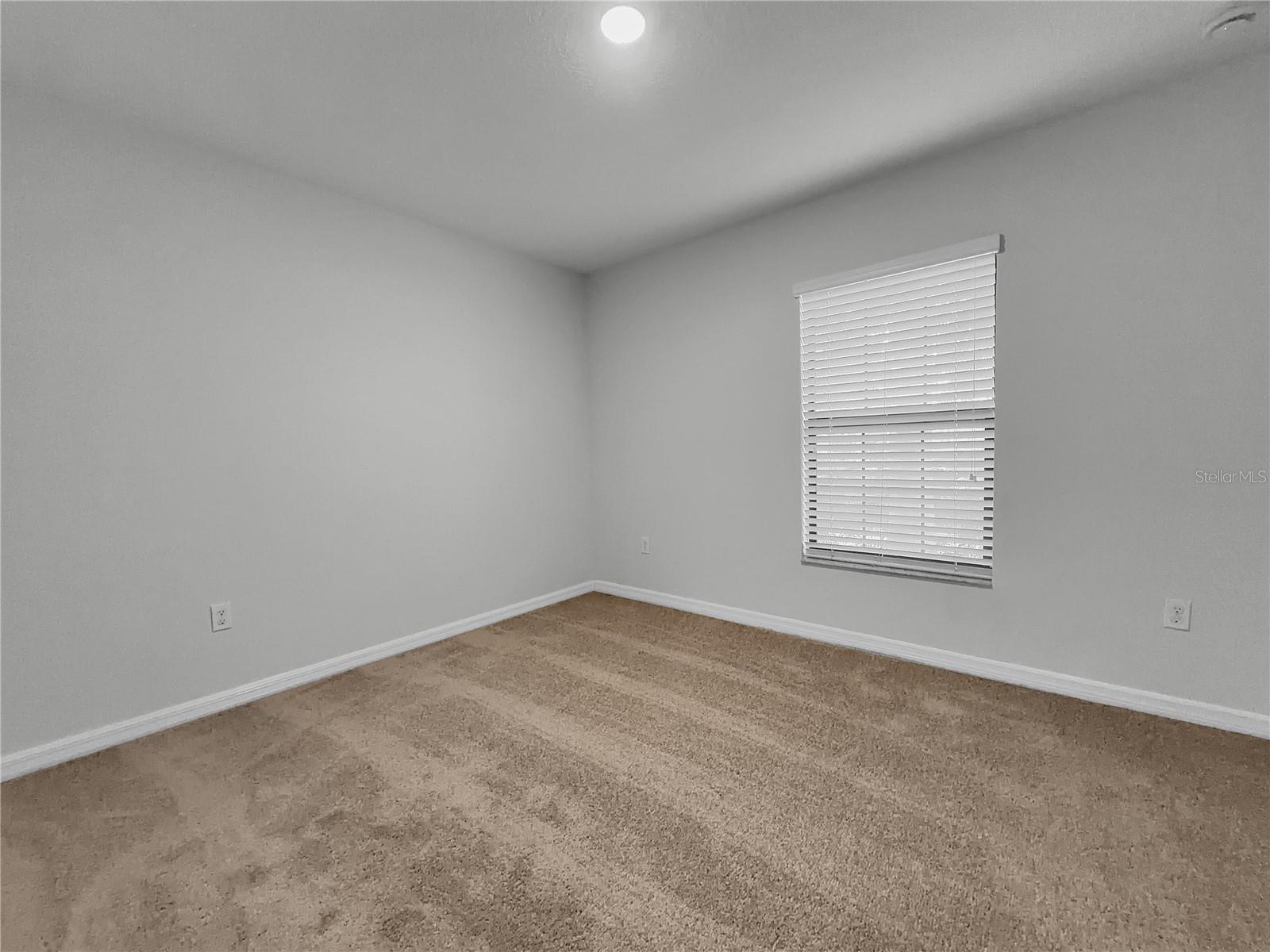 10113 ROSEMARY LEAF LN — photo 9