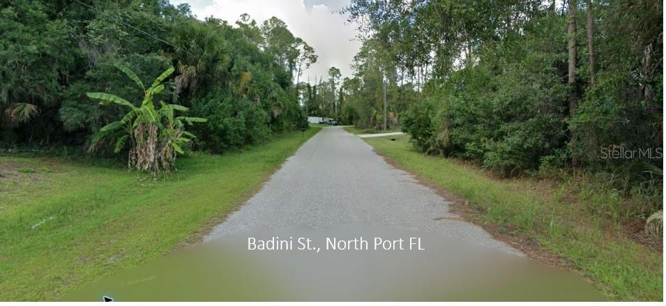 BADINI ST — photo 2