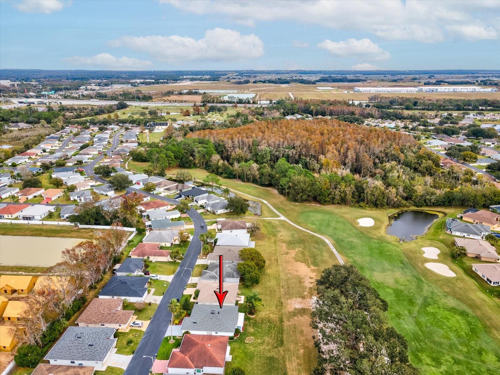 29146 PRINCEVILLE DR — photo 49
