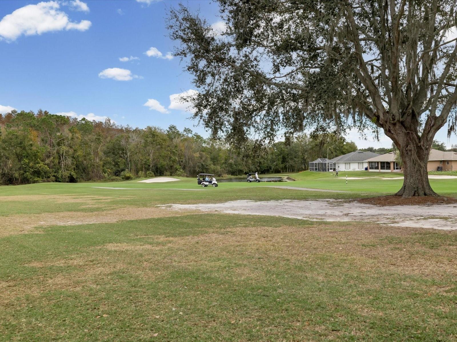 29146 PRINCEVILLE DR — photo 34