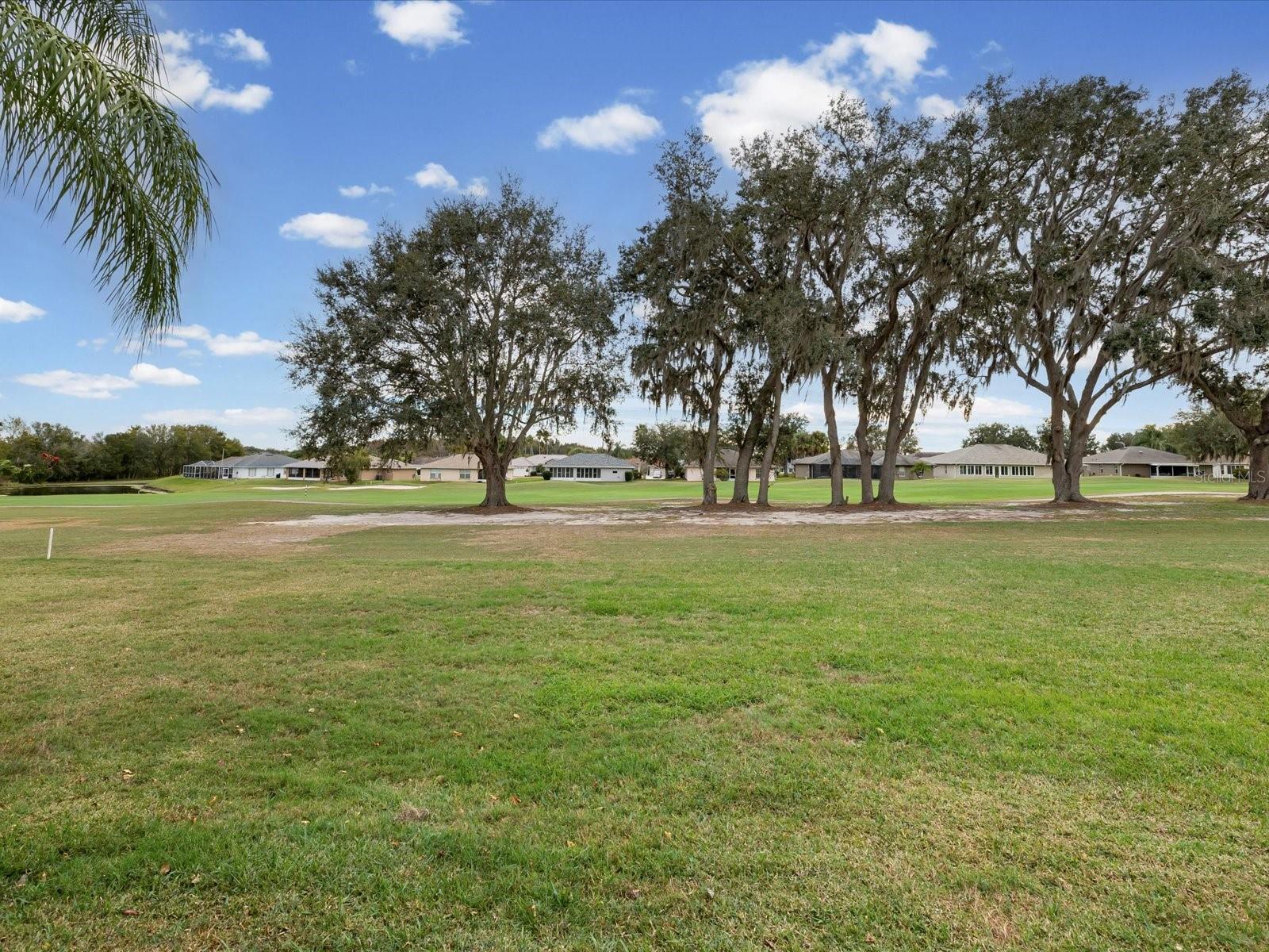 29146 PRINCEVILLE DR — photo 33