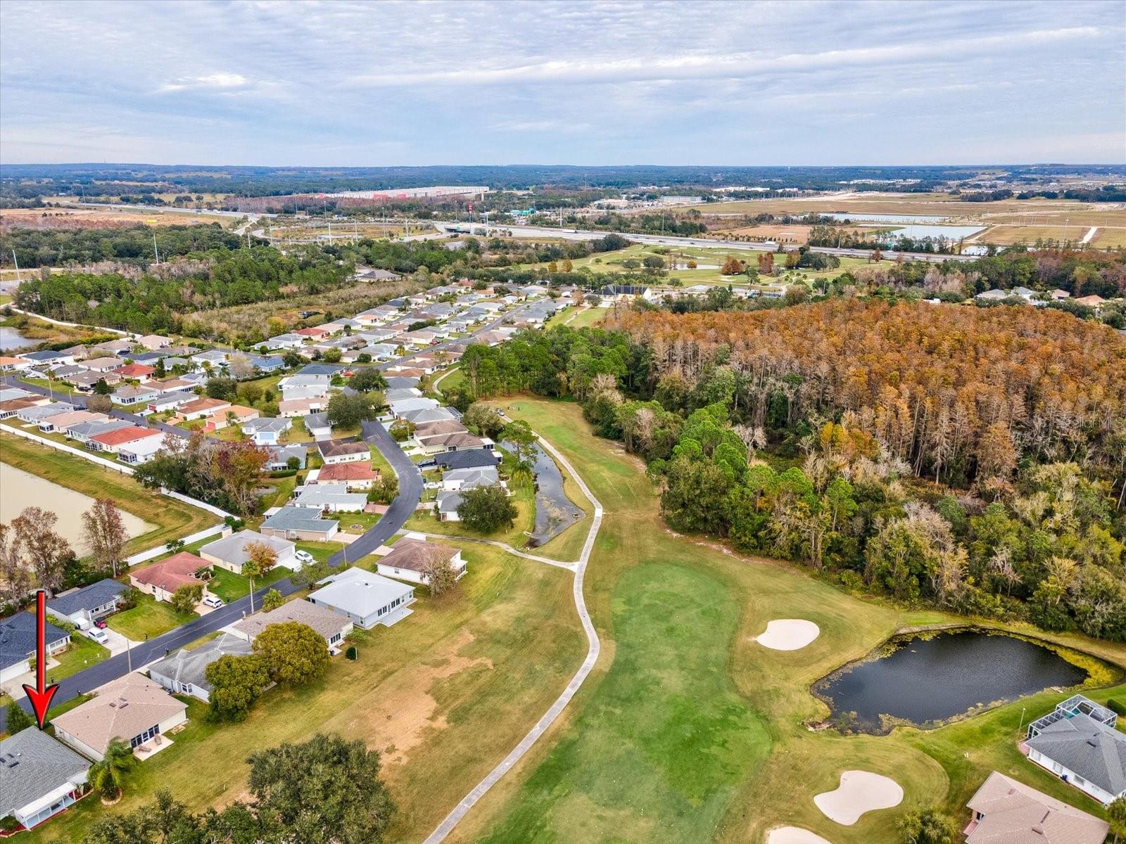 29146 PRINCEVILLE DR — photo 48