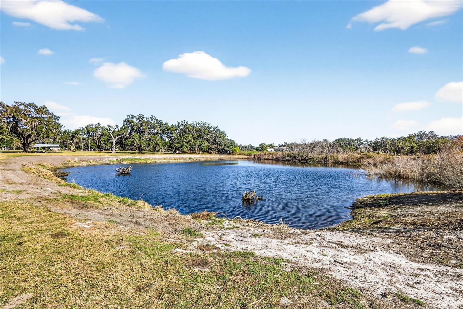 6750 SUTTON OAKS LN — photo 68