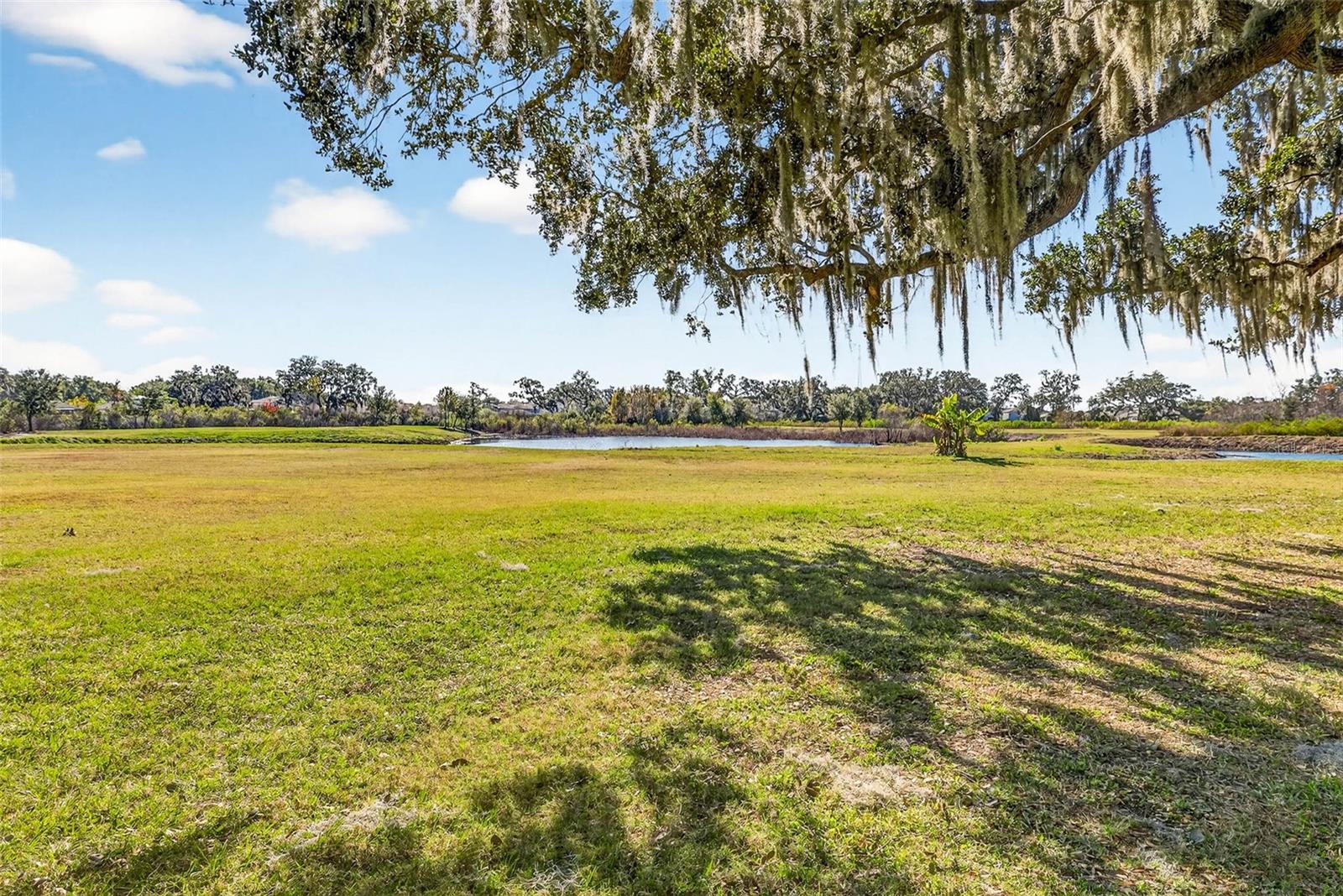 6750 SUTTON OAKS LN — photo 64