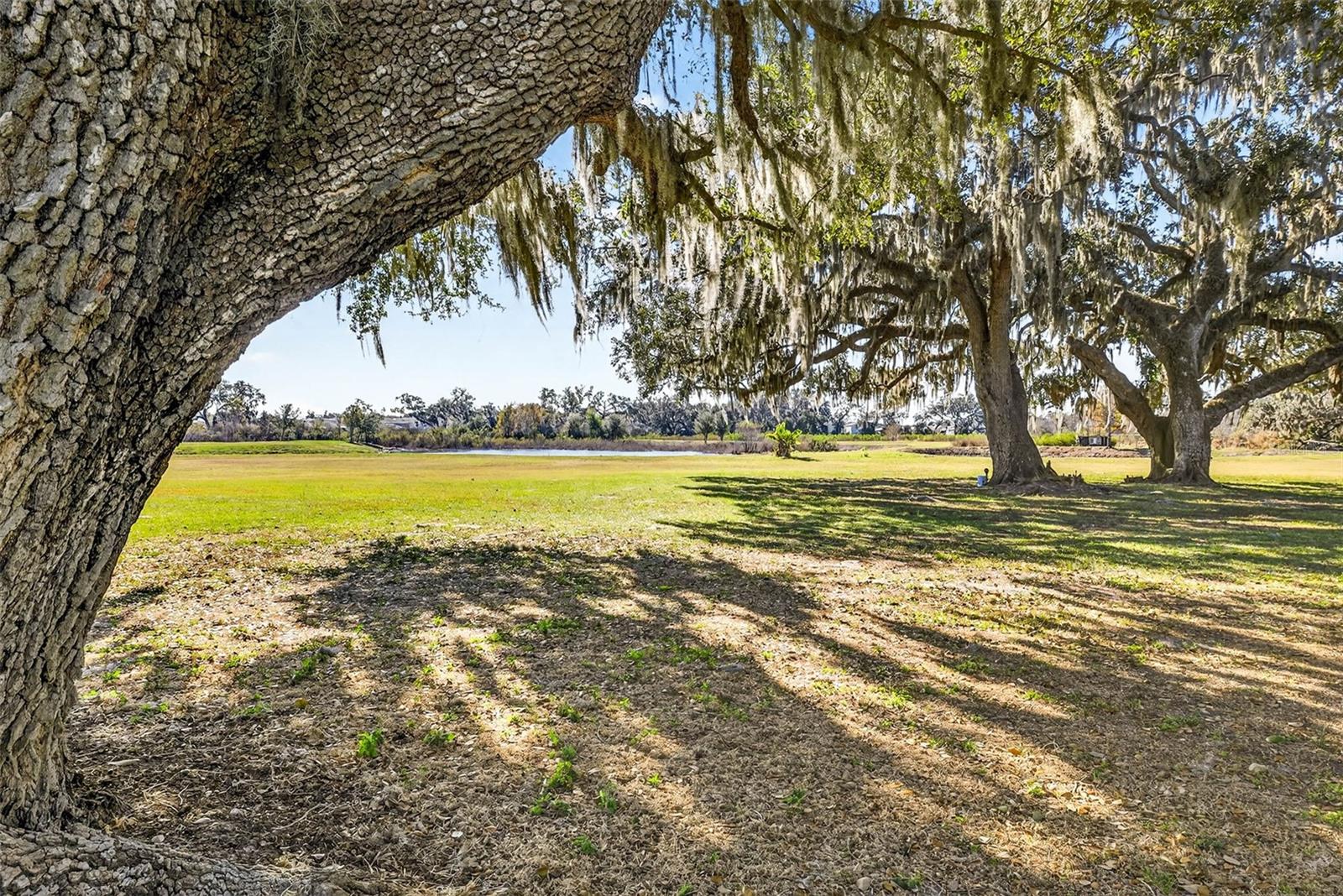 6750 SUTTON OAKS LN — photo 63