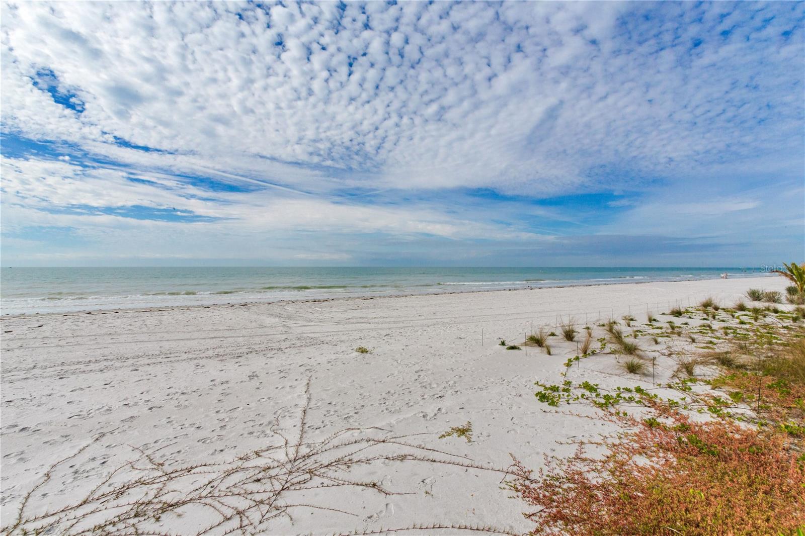 16116 GULF BLVD — photo 34