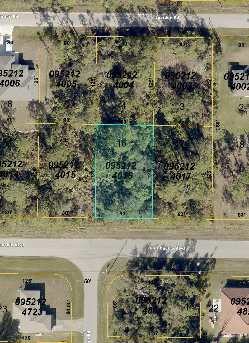 HORNBUCKLE BLVD — photo 3