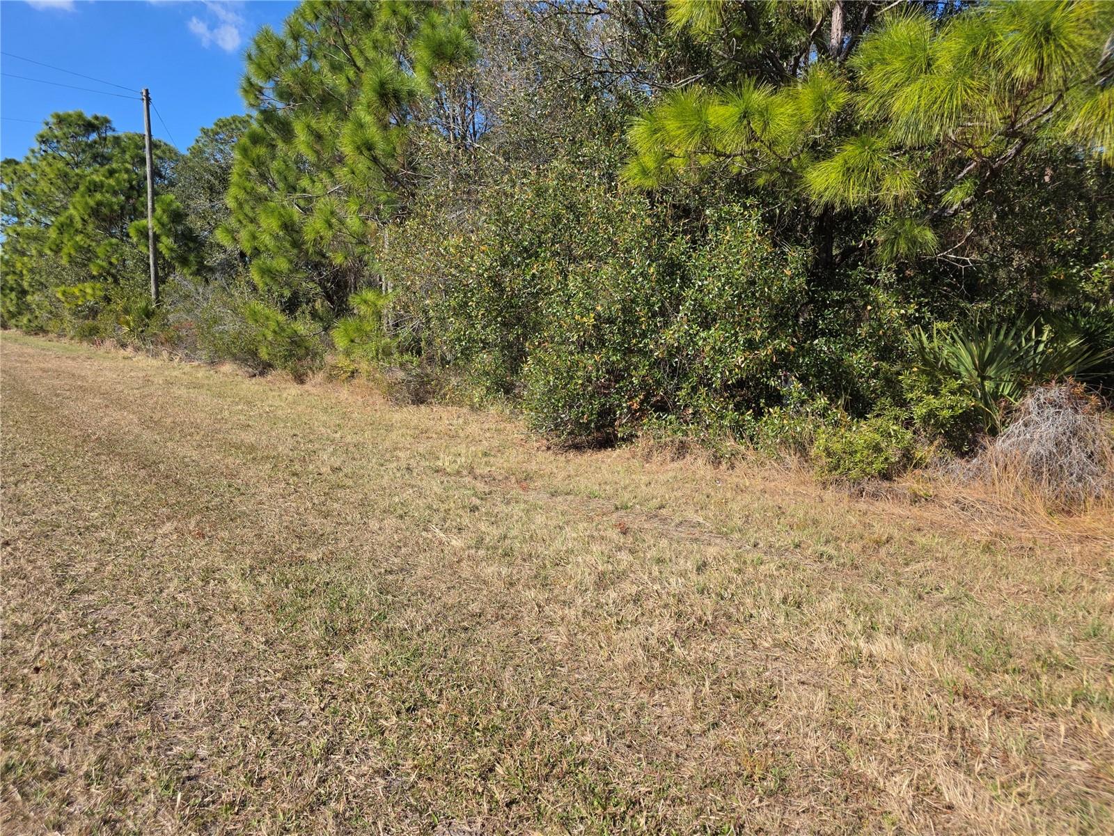 HORNBUCKLE BLVD — photo 2