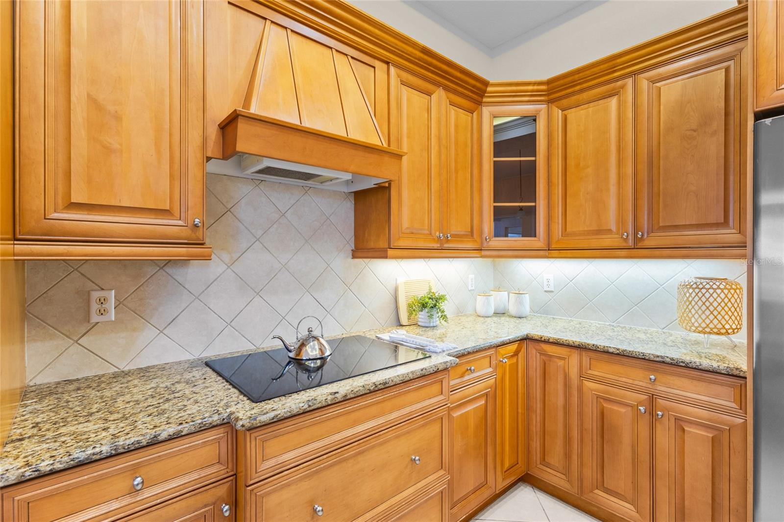 6961 SCRUB JAY DR — photo 21