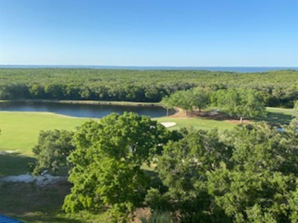 2333 FEATHER SOUND DR #B304 — photo 4