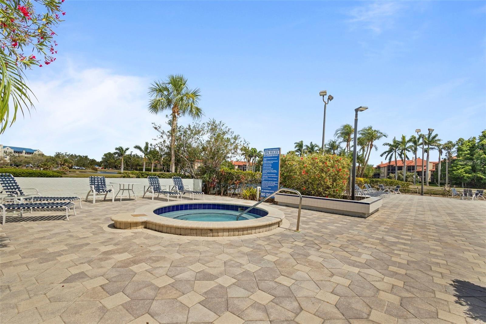 2333 FEATHER SOUND DR #B304 — photo 22