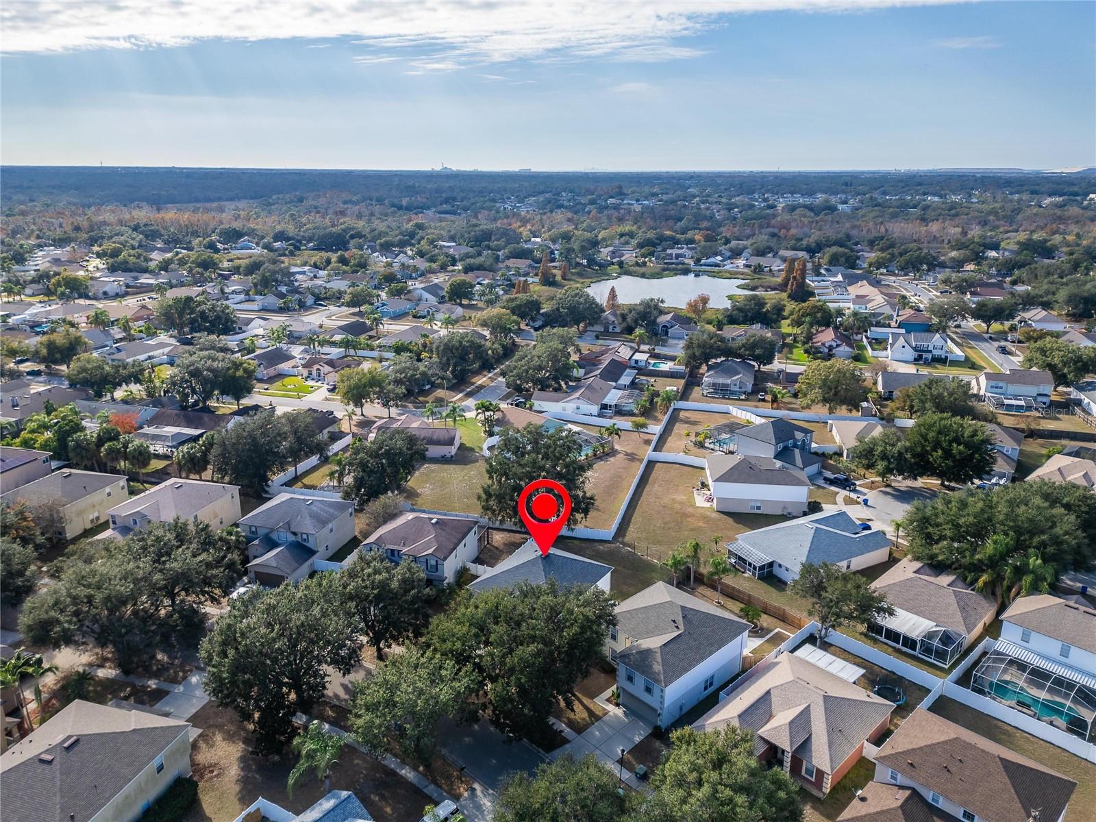 10325 FROG POND DR — photo 50