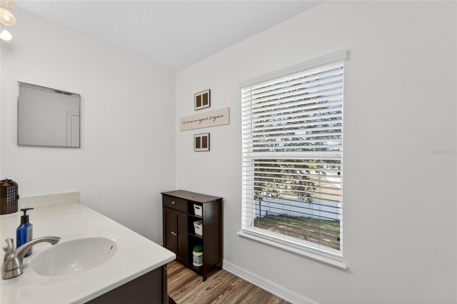 10325 FROG POND DR — photo 31