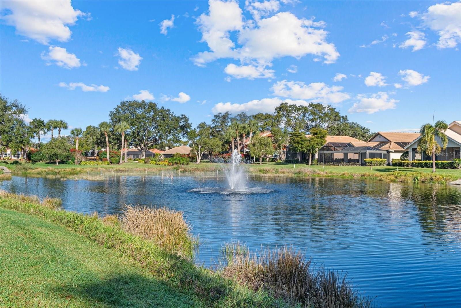 4439 DEER TRAIL BLVD — photo 4