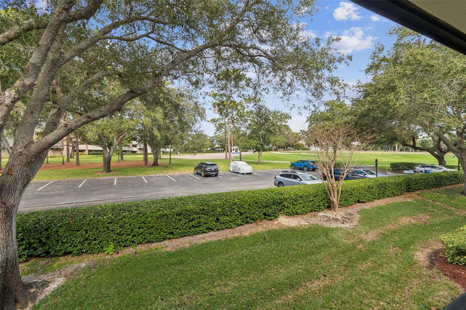 36750 US HIGHWAY 19 N #13207 — photo 30