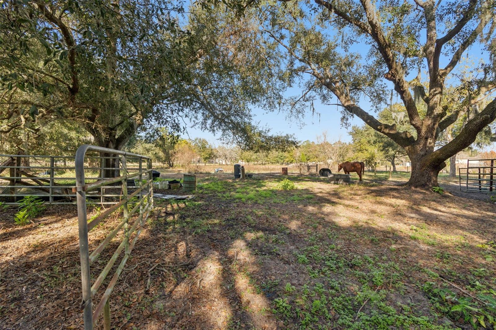 28538 RICE RD — photo 33