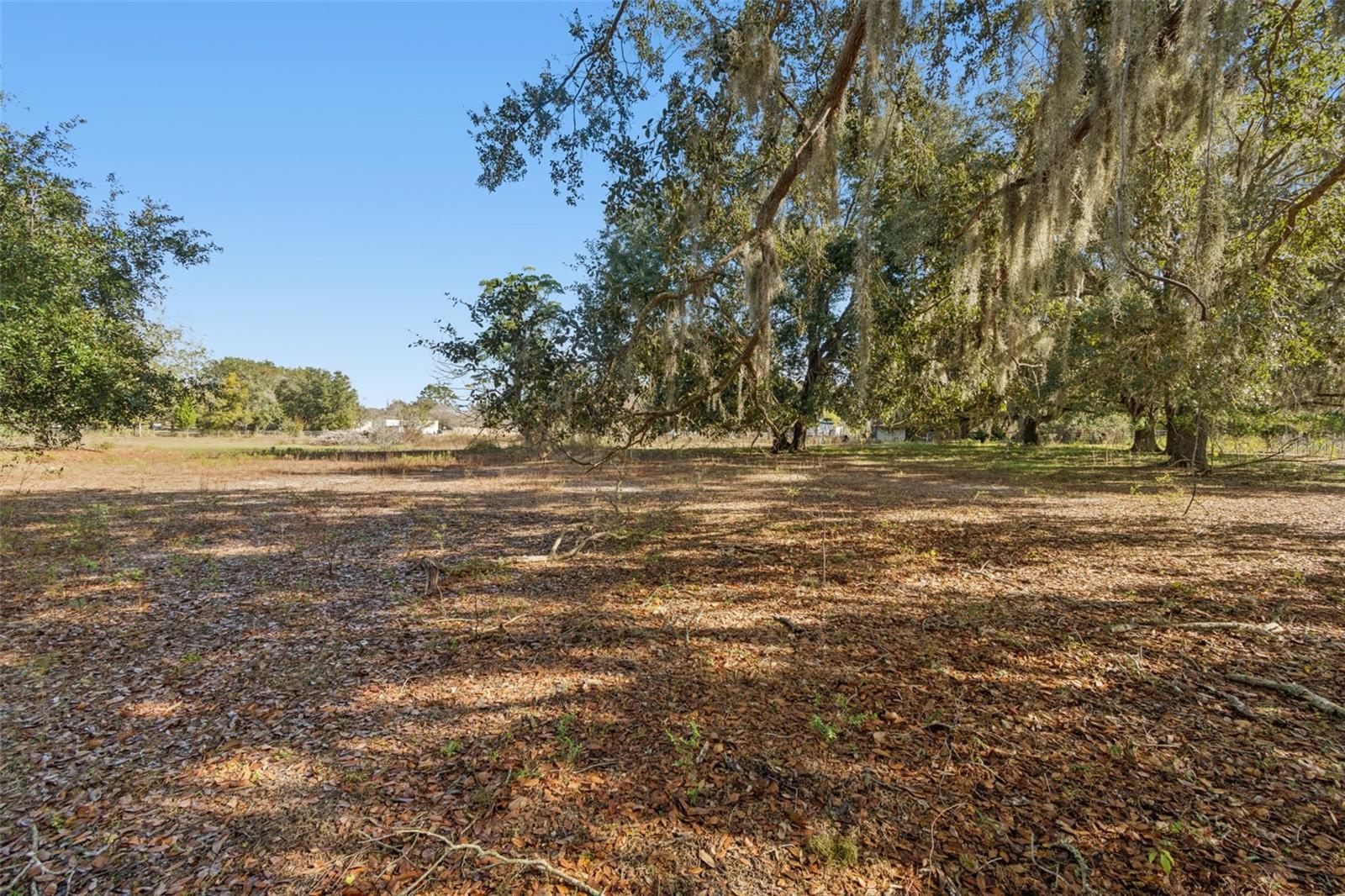 28538 RICE RD — photo 35