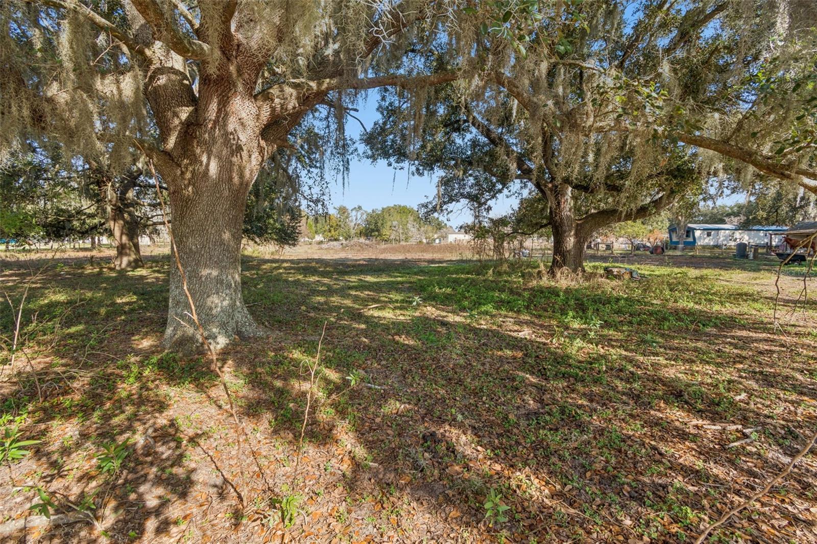 28538 RICE RD — photo 34