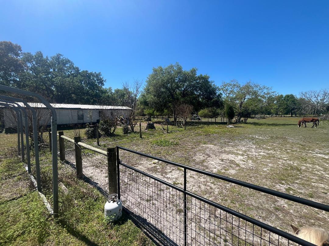 28538 RICE RD — photo 4