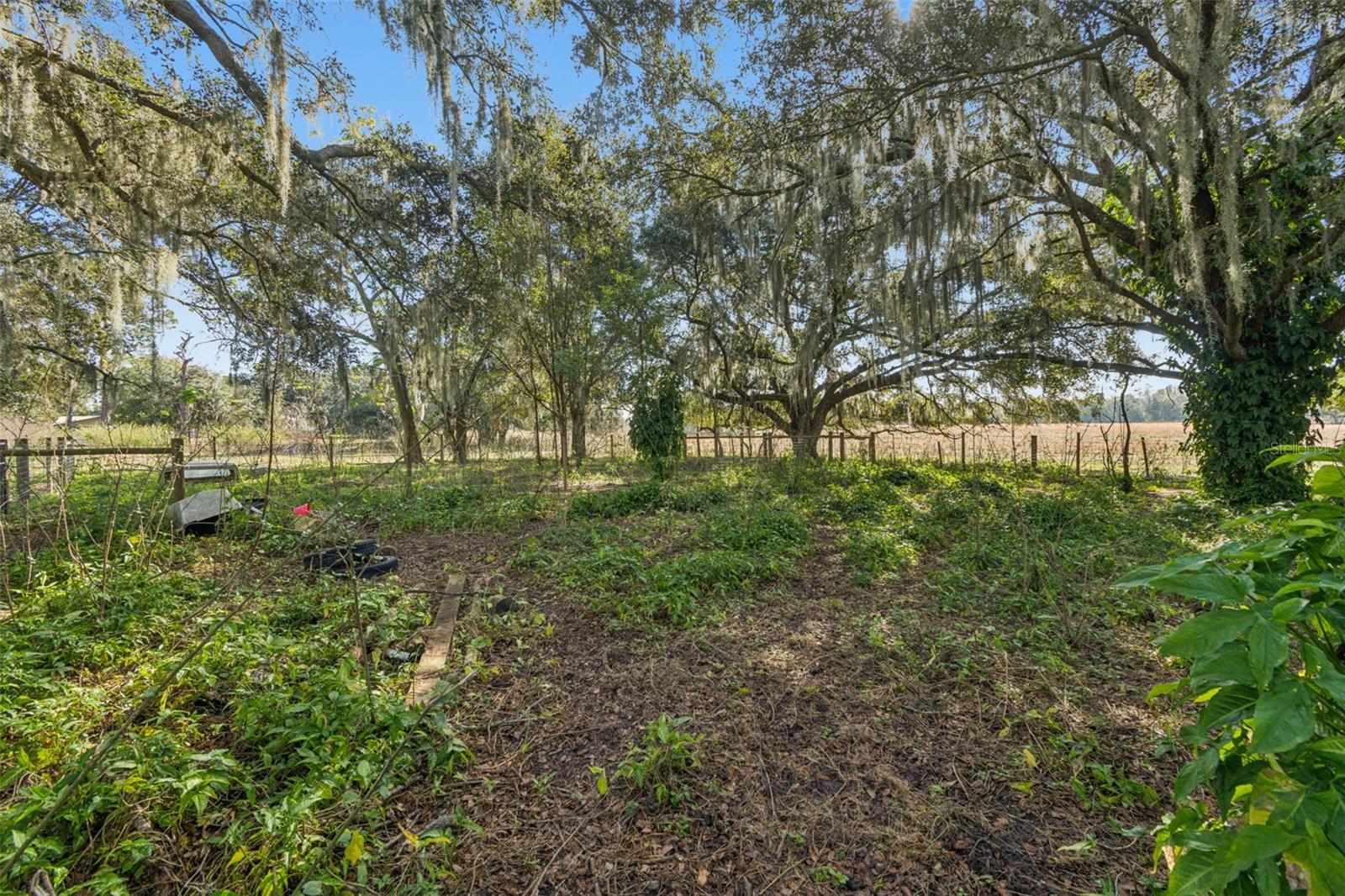 28538 RICE RD — photo 32
