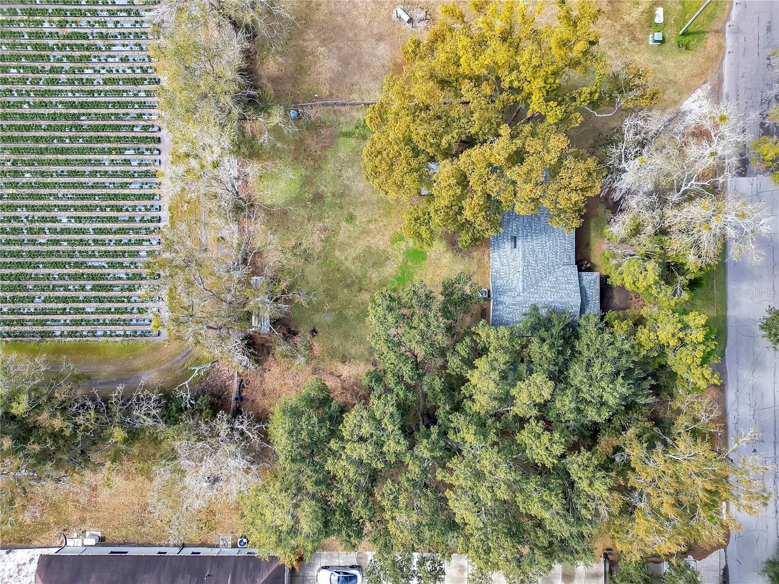 13713 WALDEN SHEFFIELD RD — photo 38