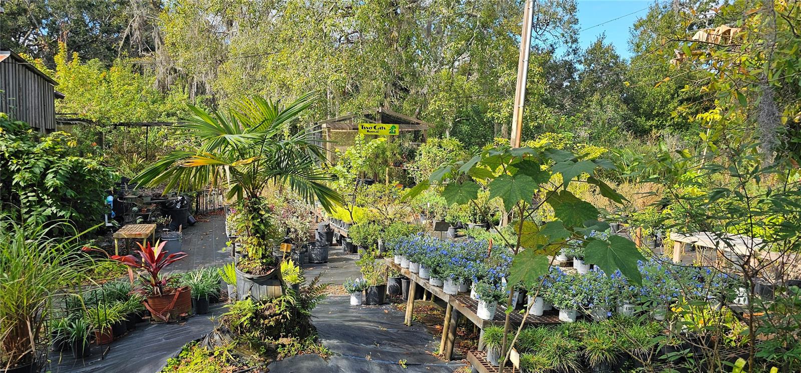 9906 GUNN HWY — photo 9