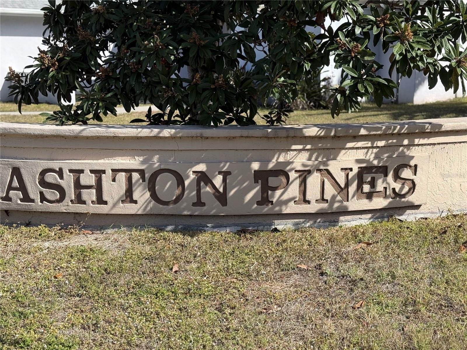 5295 ASHTON PINES LN — photo 19