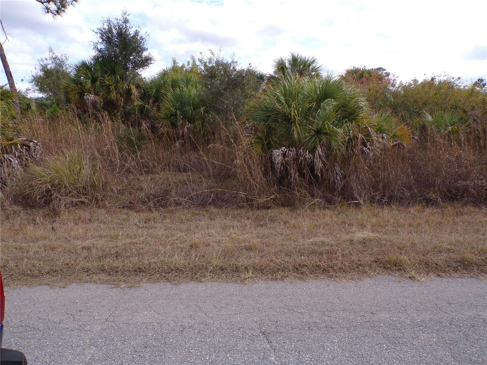 SILVERLEAF RD — photo 5