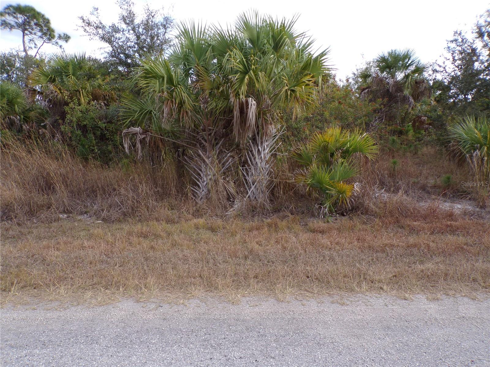 SILVERLEAF RD — photo 2