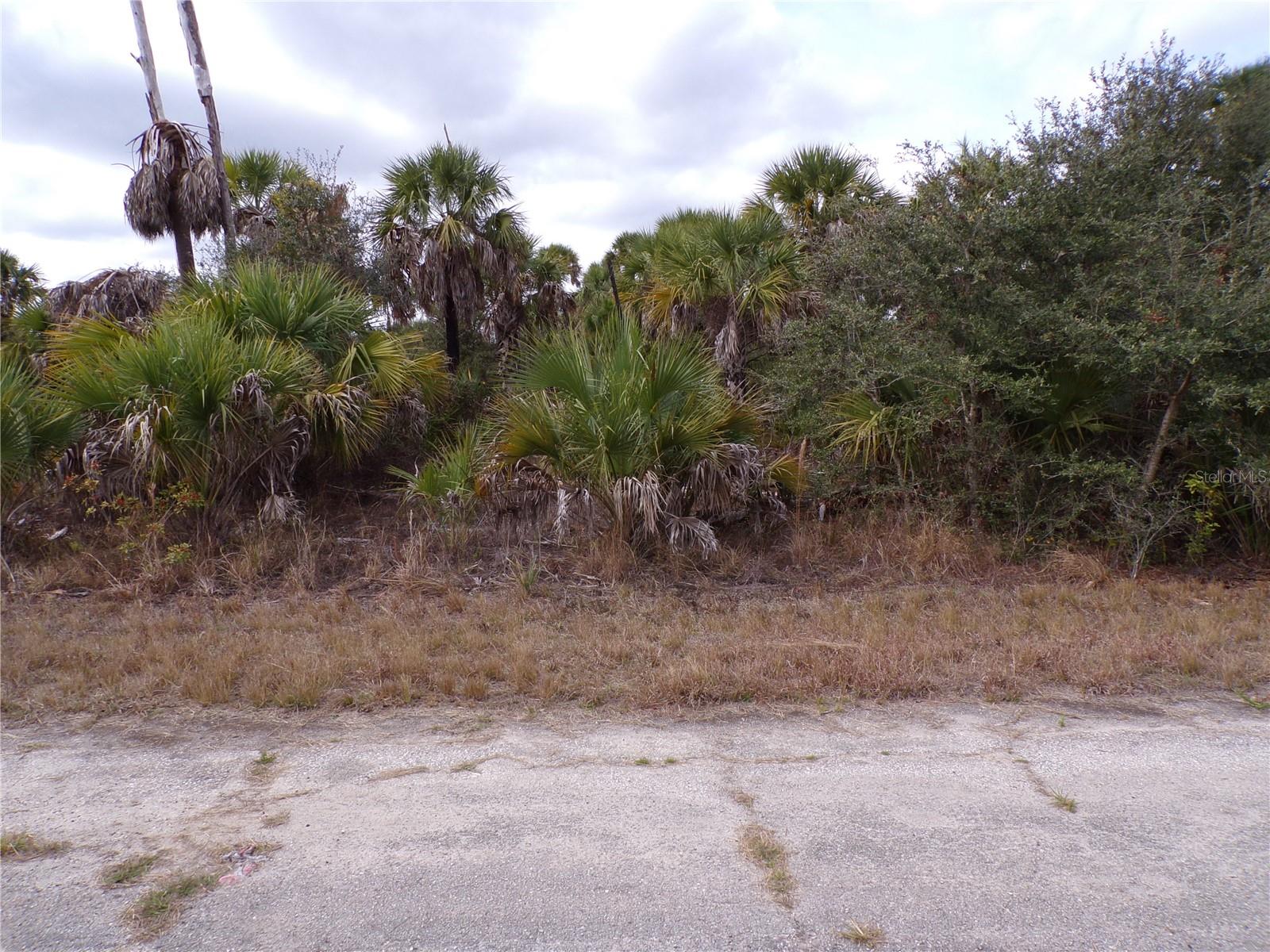 COPERNICUS RD — photo 5