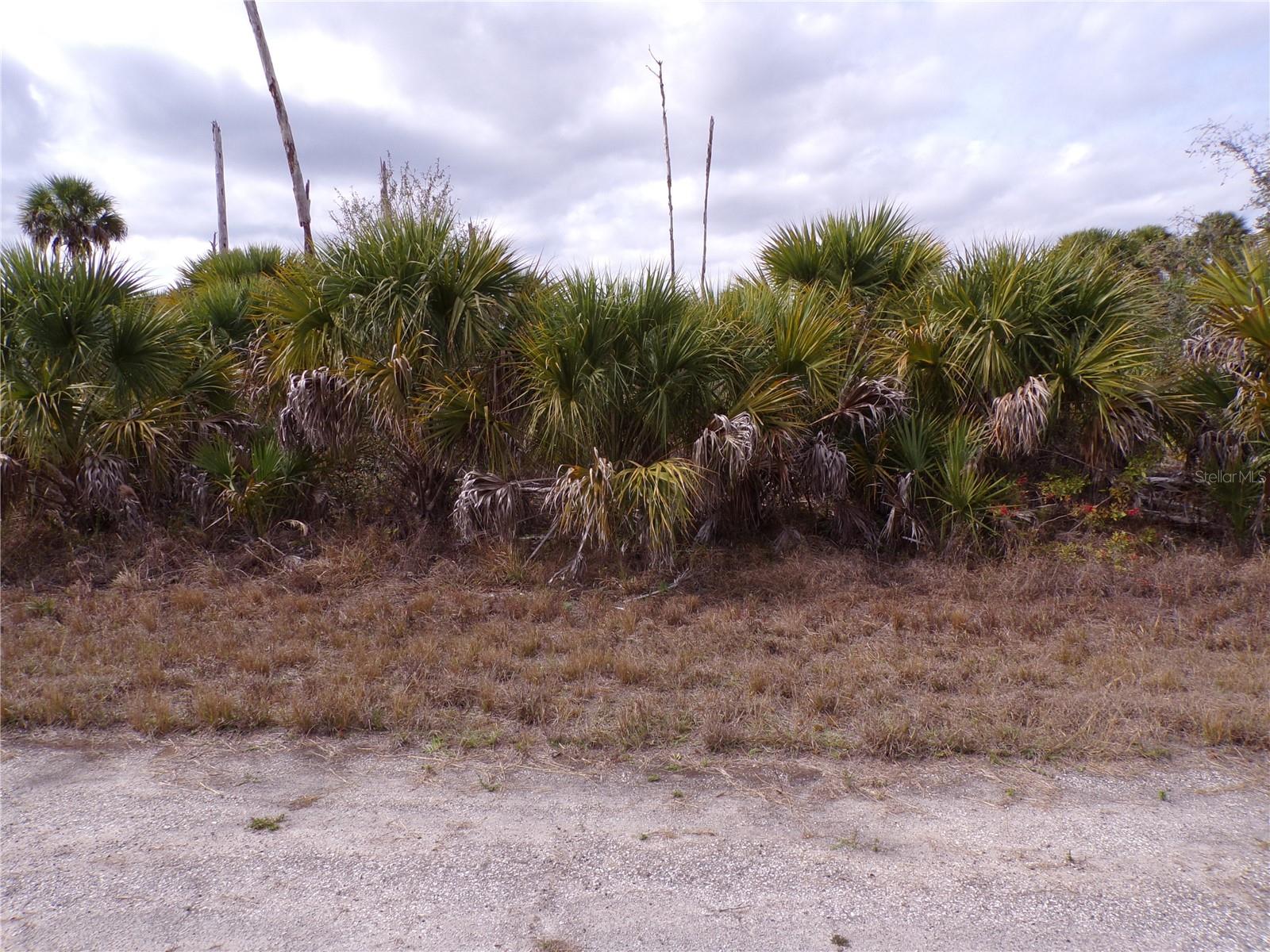 COPERNICUS RD — photo 2