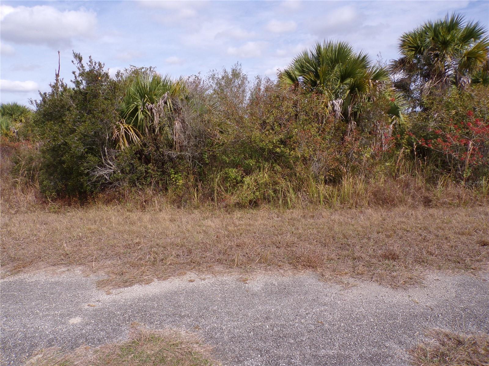 MAGELLAN ST — photo 2