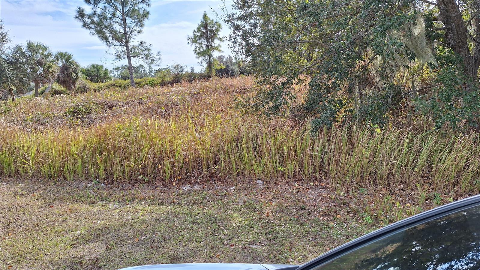 JAYLENE RD — photo 2