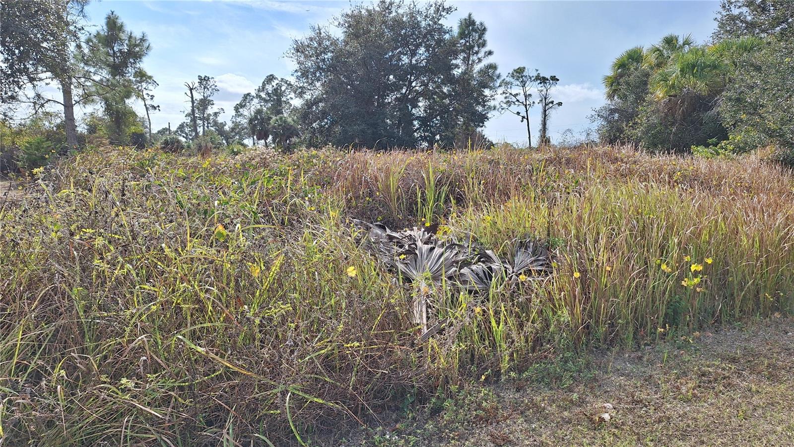 JAYLENE RD — photo 4