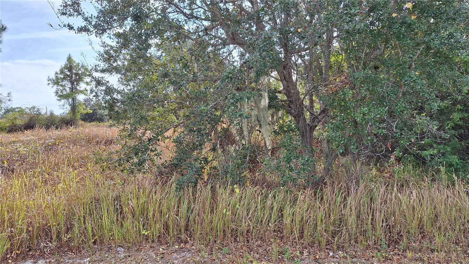 JAYLENE RD — photo 3