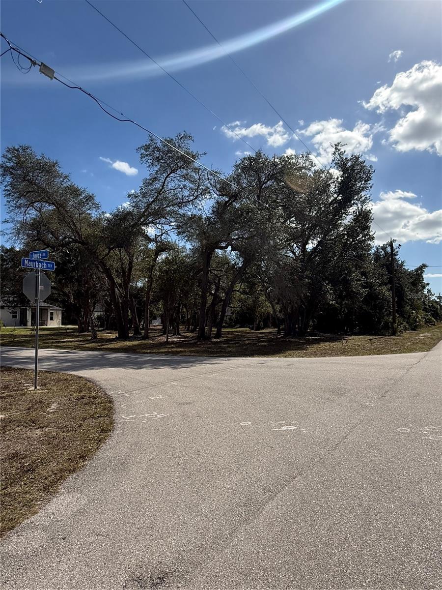 MAURBACH TER — photo 10