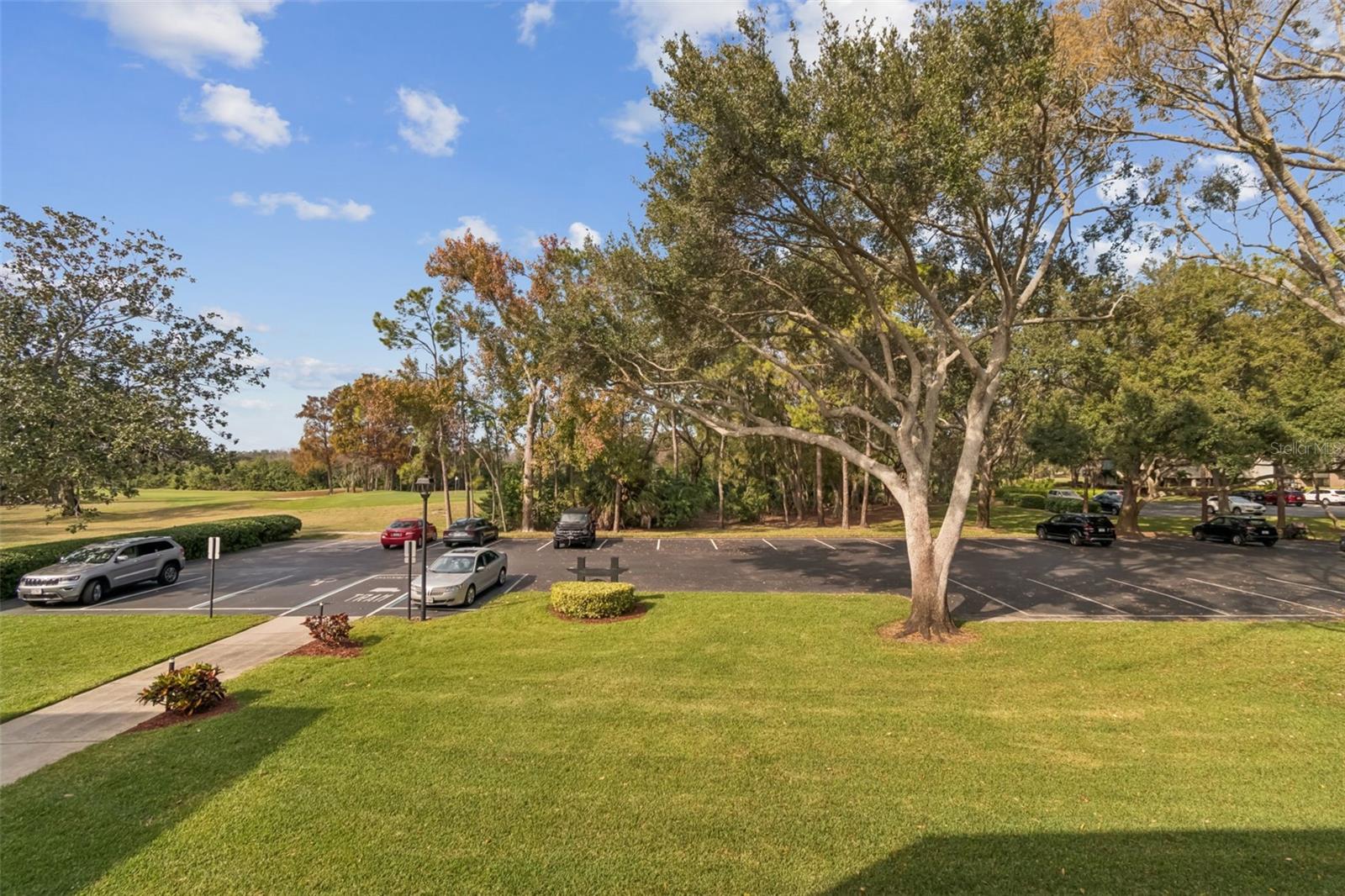 36750 US HIGHWAY 19 N #17208 — photo 26