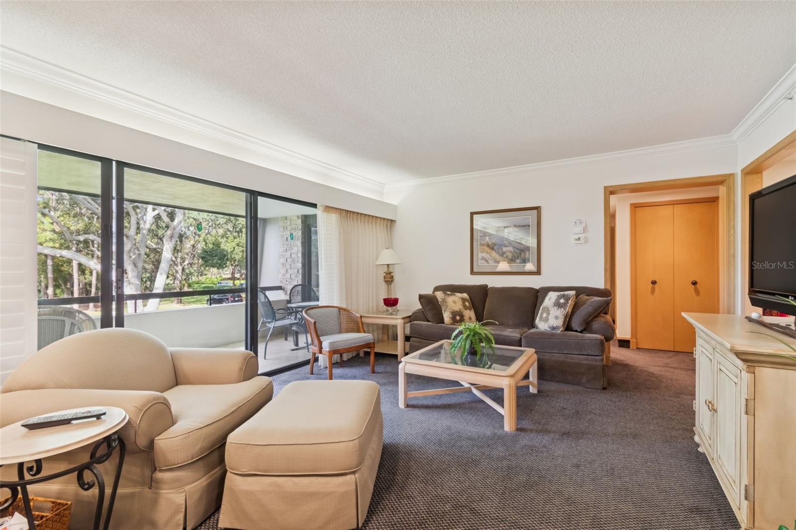 36750 US HIGHWAY 19 N #17208 — photo 17