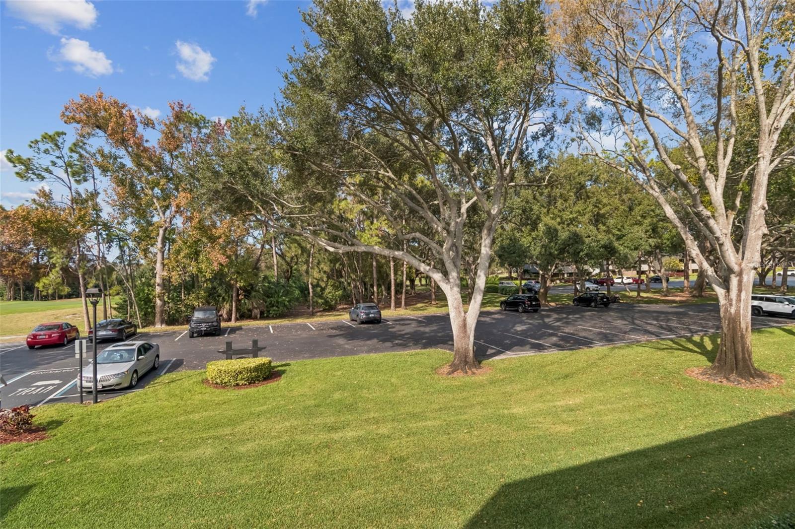 36750 US HIGHWAY 19 N #17208 — photo 24