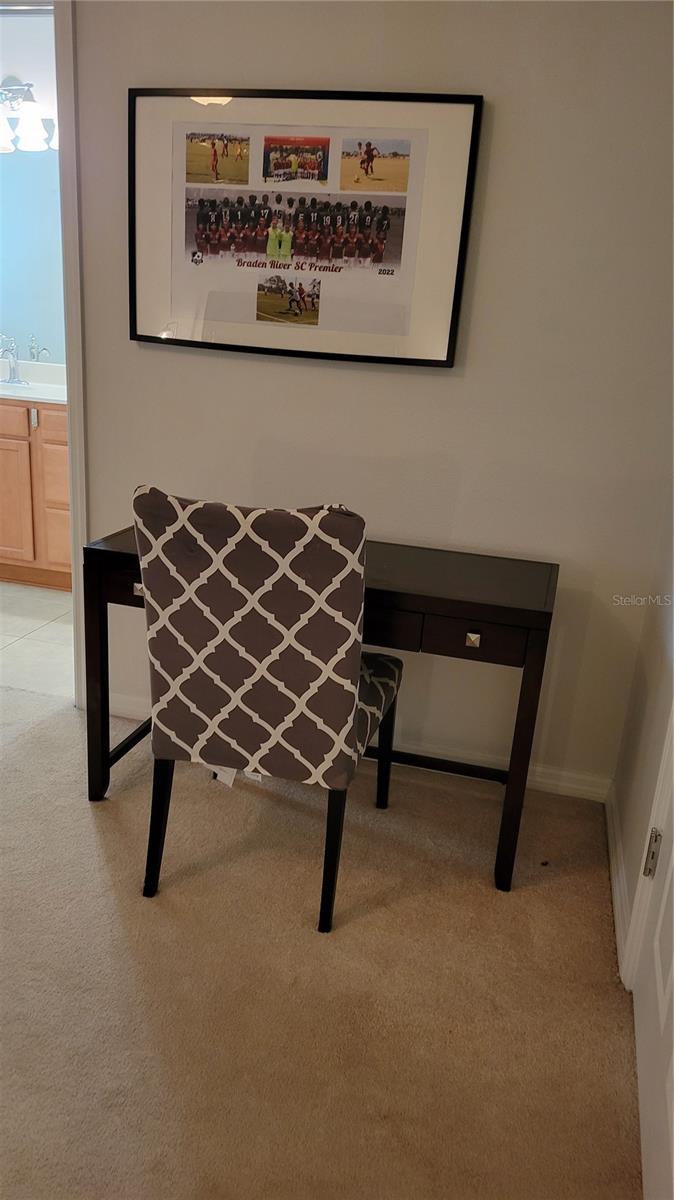 3740 82ND AVENUE CIR E #102 — photo 14